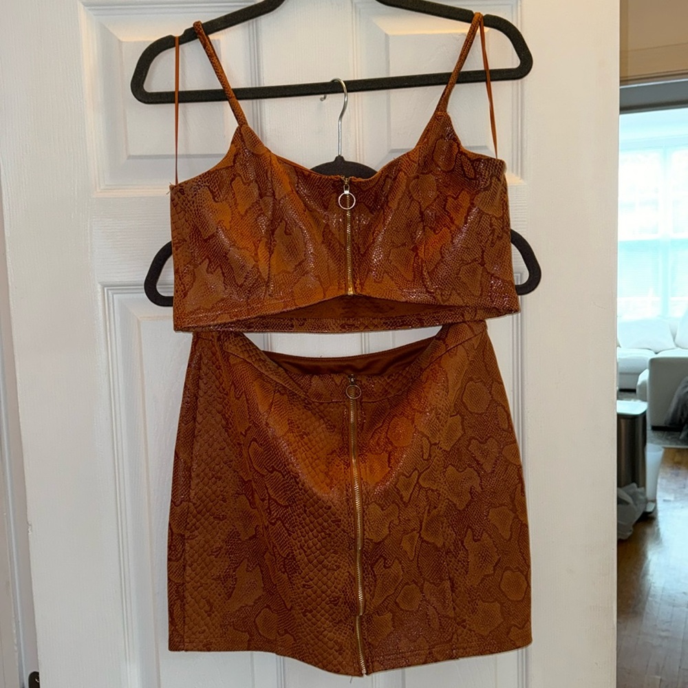 2 piece snakeskin set